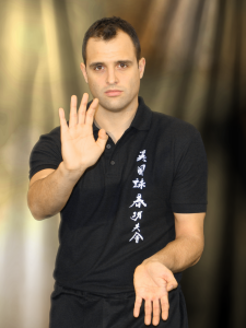 Sifu Nick Martin        